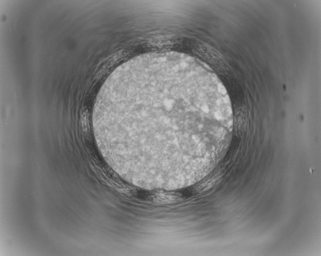 X0000070870623200607150123