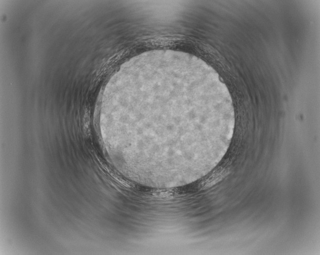 X0000070870624200607150123