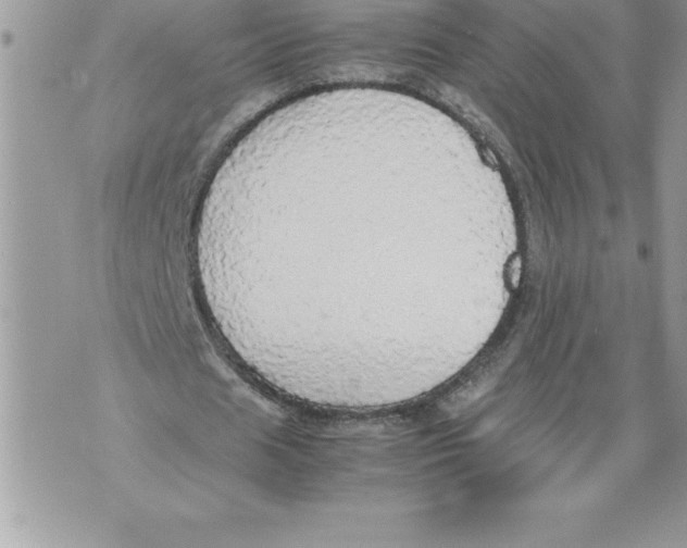 X0000070870625200607150122