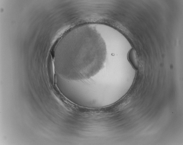 X0000070870626200607150122