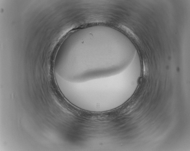 X0000070870627200607150122