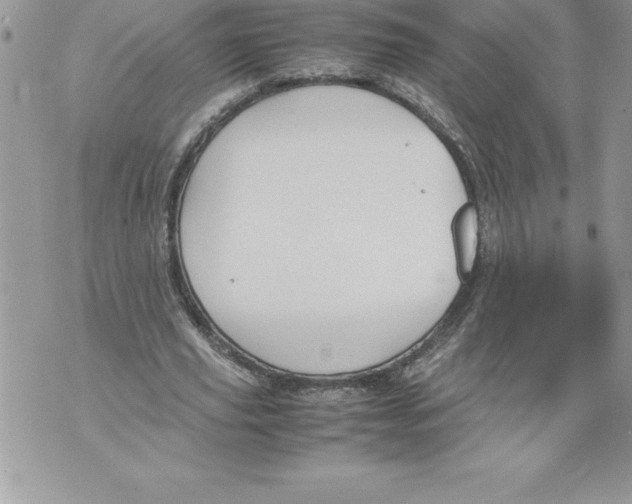 X0000070870629200607150122