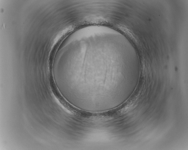 X0000070870630200607150122