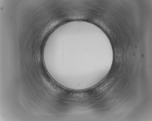 X0000070870631200607150122