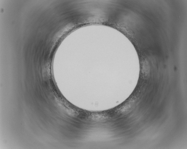 X0000070870632200607150122