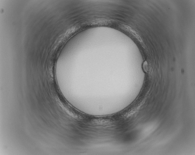 X0000070870633200607150122