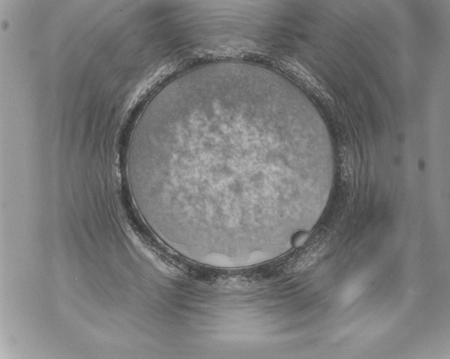 X0000070870634200607150122