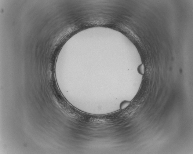 X0000070870635200607150122