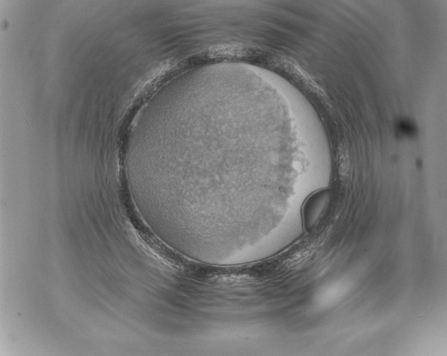 X0000070870637200607150122