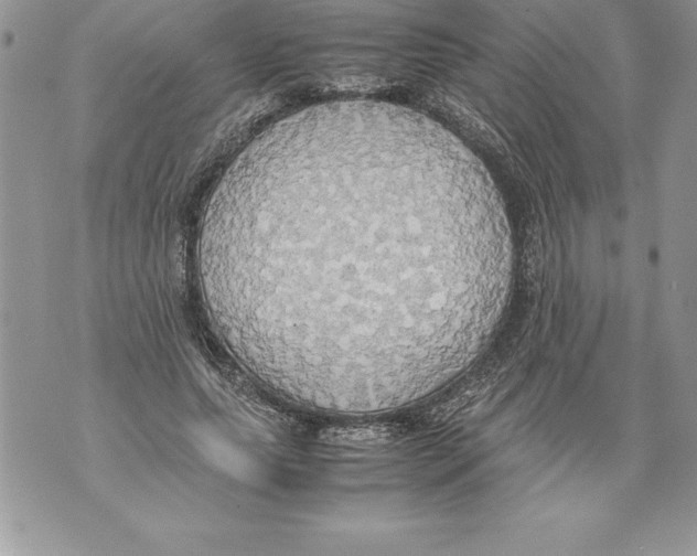 X0000070870639200607150122