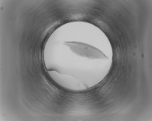 X0000070870640200607150122