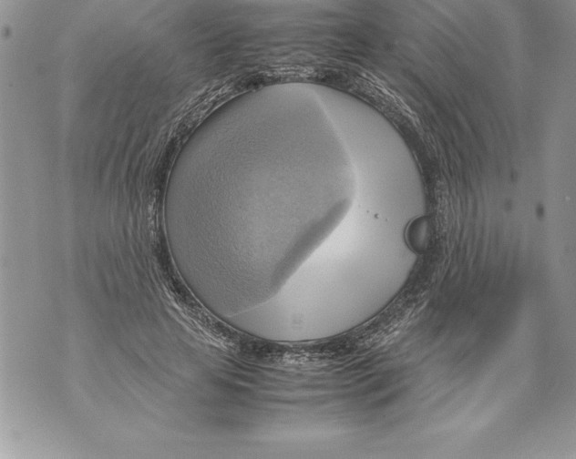 X0000070870641200607150122