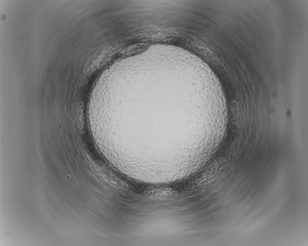 X0000070870642200607150122