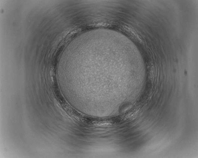 X0000070870643200607150122