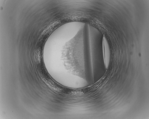 X0000070870644200607150122