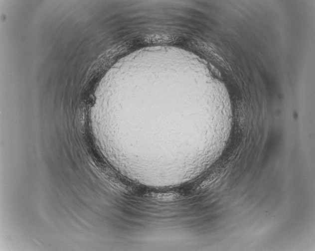 X0000070870645200607150122