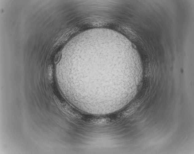 X0000070870646200607150122