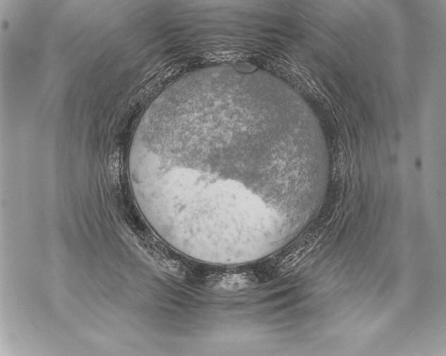 X0000070870647200607150122