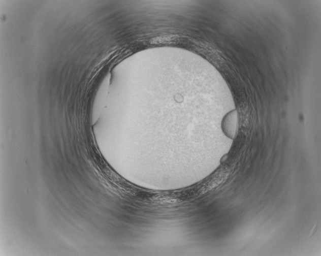 X0000070870648200607150122