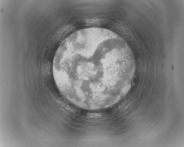 X0000070870649200607150122