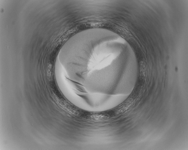 X0000070870650200607150122