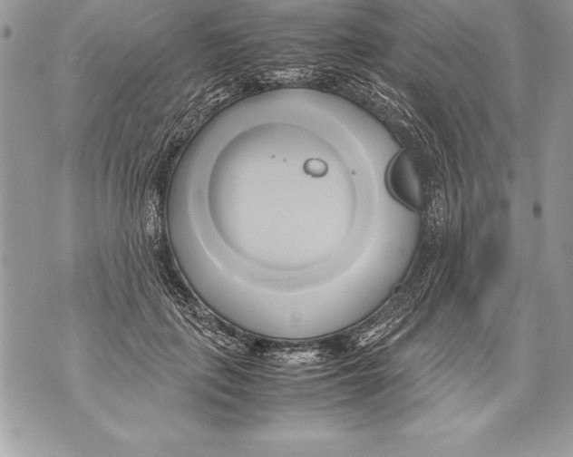 X0000070870651200607150122