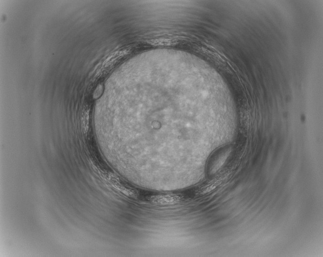 X0000070870652200607150122