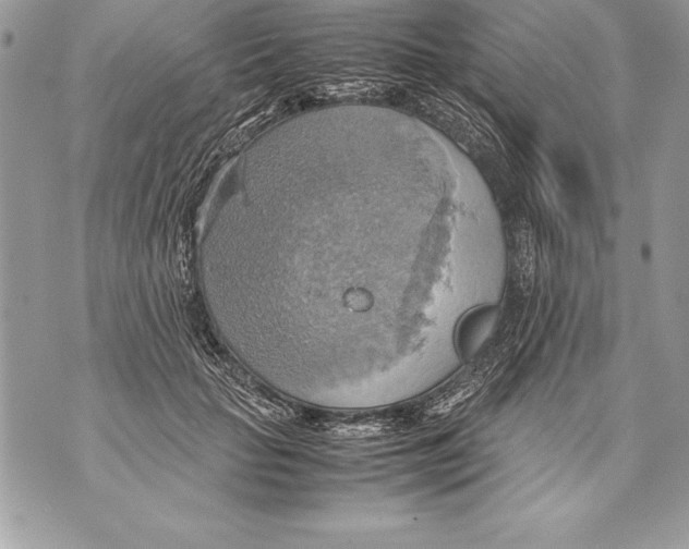 X0000070870653200607150122