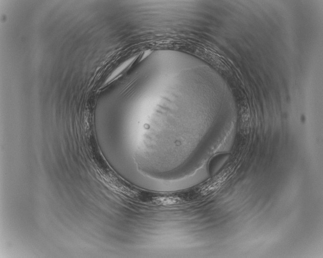 X0000070870654200607150122