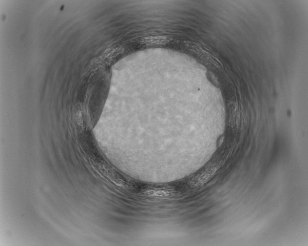 X0000070870655200607150122