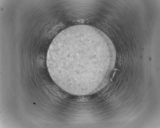 X0000070870656200607150122