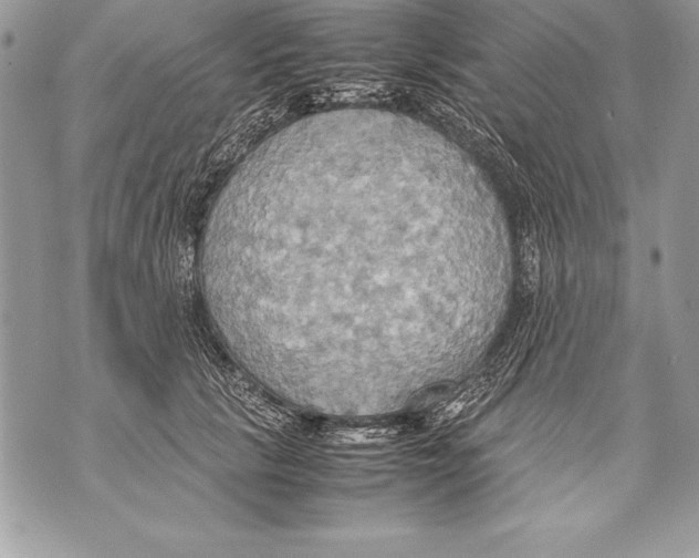 X0000070870657200607150122