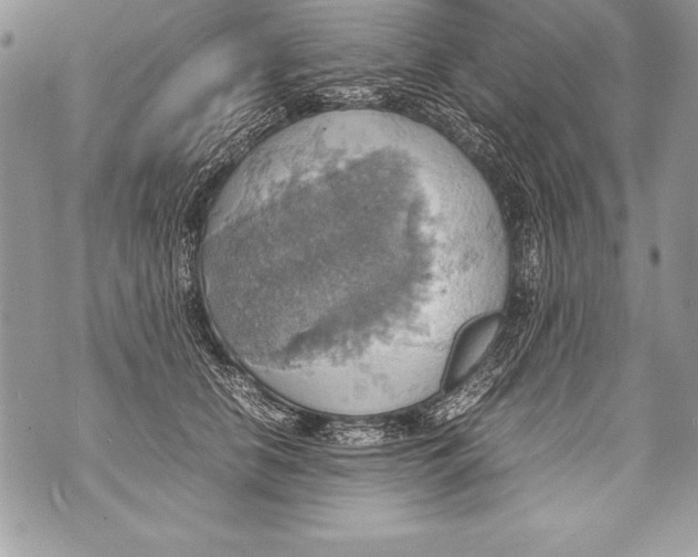 X0000070870658200607150122