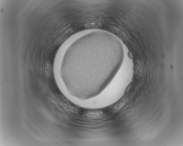 X0000070870659200607150122