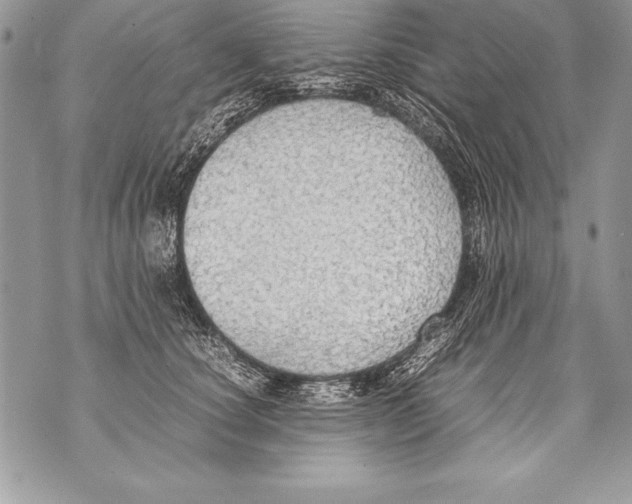 X0000070870660200607150122