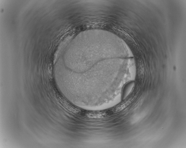 X0000070870661200607150122