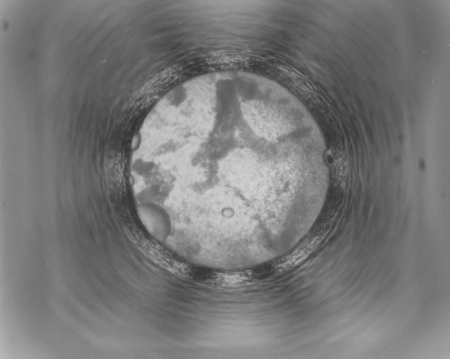 X0000070870662200607150122