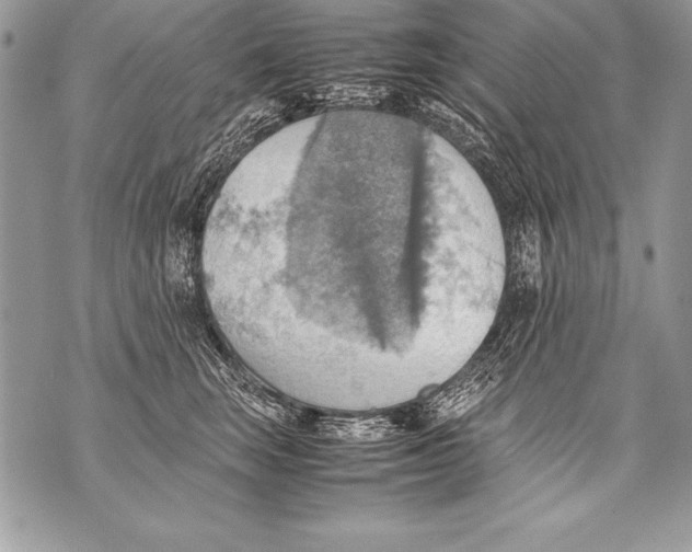 X0000070870663200607150122