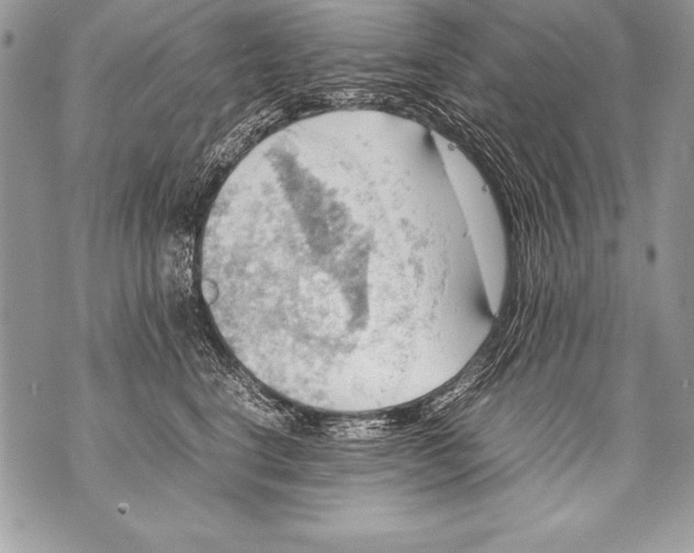 X0000070870664200607150122