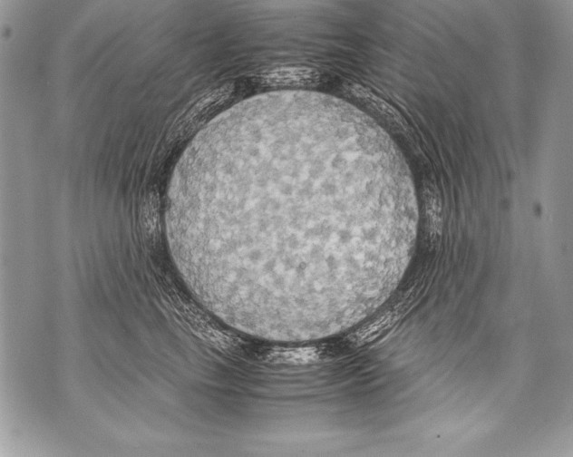 X0000070870665200607150122