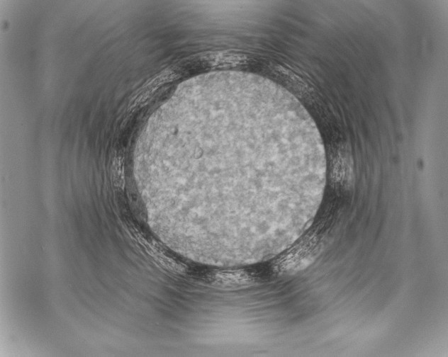 X0000070870666200607150122