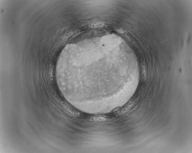 X0000070870668200607150123