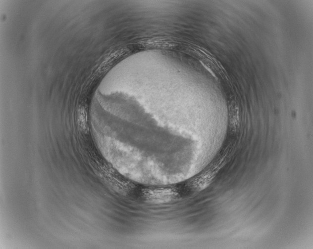 X0000070870669200607150123