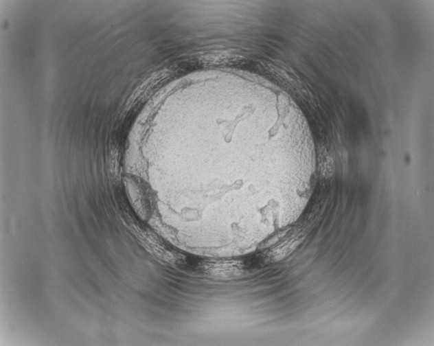 X0000070870670200607150123