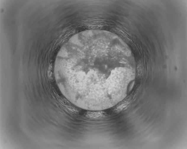 X0000070870671200607150123