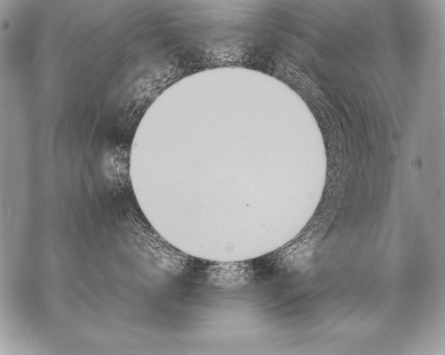 X0000070870672200607150123