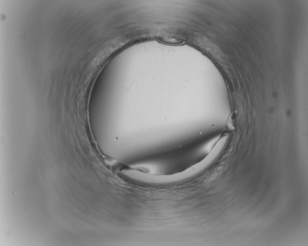 X0000070870673200607150122