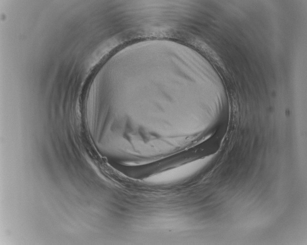 X0000070870674200607150122