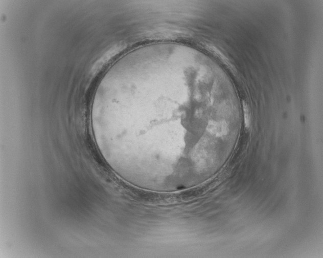 X0000070870675200607150122