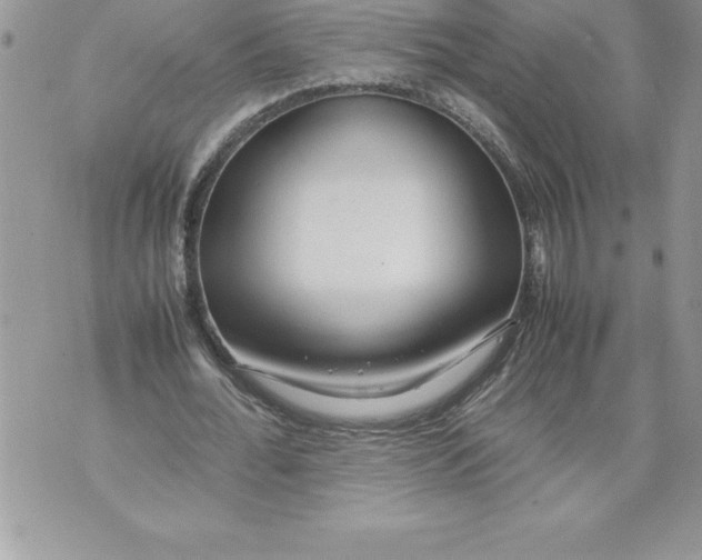 X0000070870676200607150122